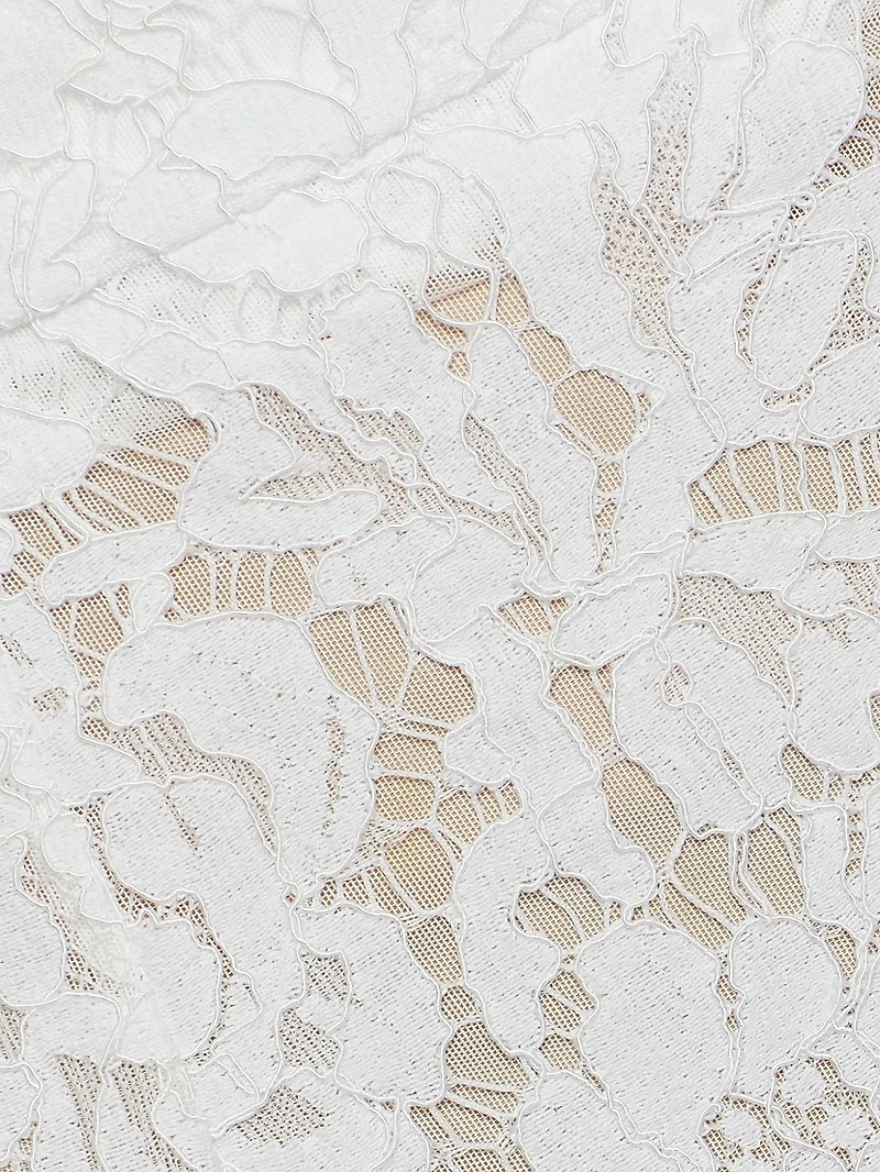 Salome Lace Cotton-Blend Miniskirt