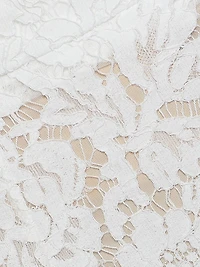 Salome Lace Cotton-Blend Miniskirt