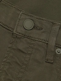 Good Barrel Twill Pants