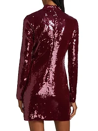 Sylee Sequined Minidress