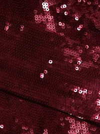 Sylee Sequined Minidress