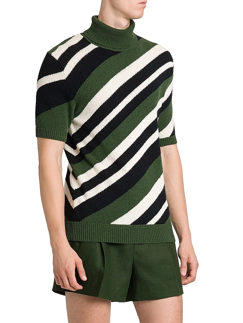 Diagonal Stripe Turtleneck Short-Sleeve Sweater