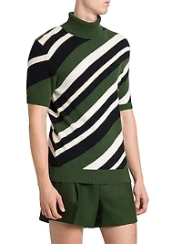 Diagonal Stripe Turtleneck Short-Sleeve Sweater