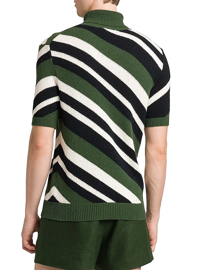 Diagonal Stripe Turtleneck Short-Sleeve Sweater