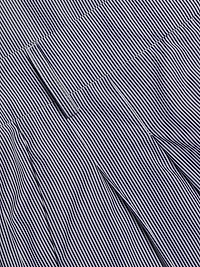 New Didi Cotton Wide-Leg Pants