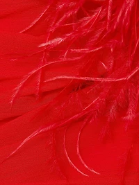 Geisha Plunge Feather-Cuff Gown