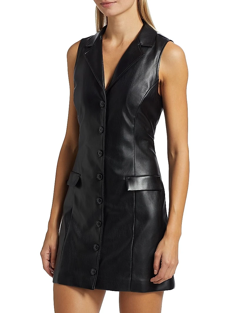 Graciella Faux Leather Minidress