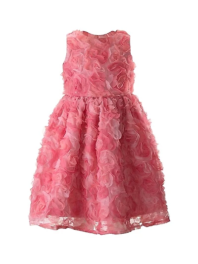 Little Girl's & Girl's Rosette Flutter Dress