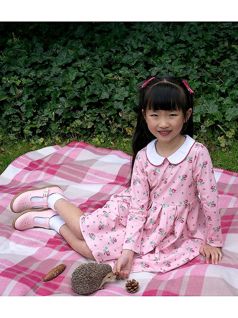 Baby Girl's, Little Girl's & Rosebud Floral Collared Dress