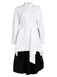 Ariella Fly Away Pleated Shirtdress