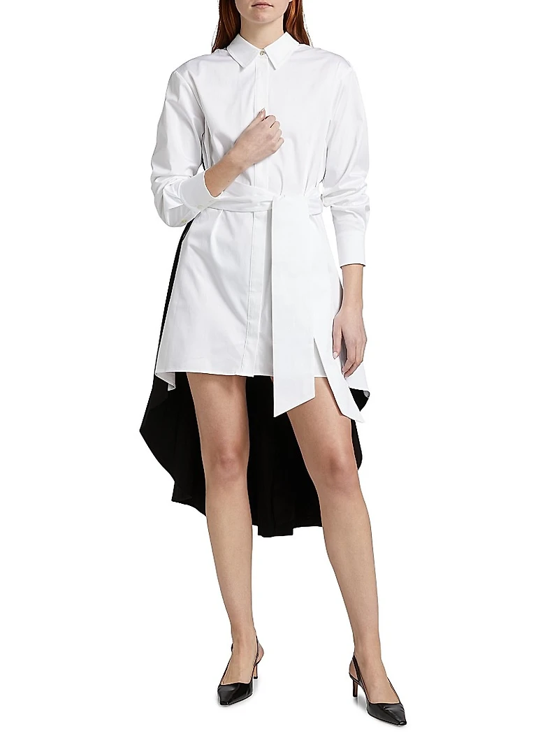 Ariella Fly Away Pleated Shirtdress