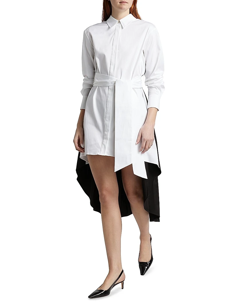Ariella Fly Away Pleated Shirtdress