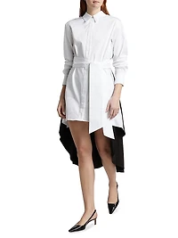 Ariella Fly Away Pleated Shirtdress