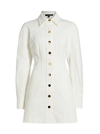 Alexa Denim Seamed Minidress