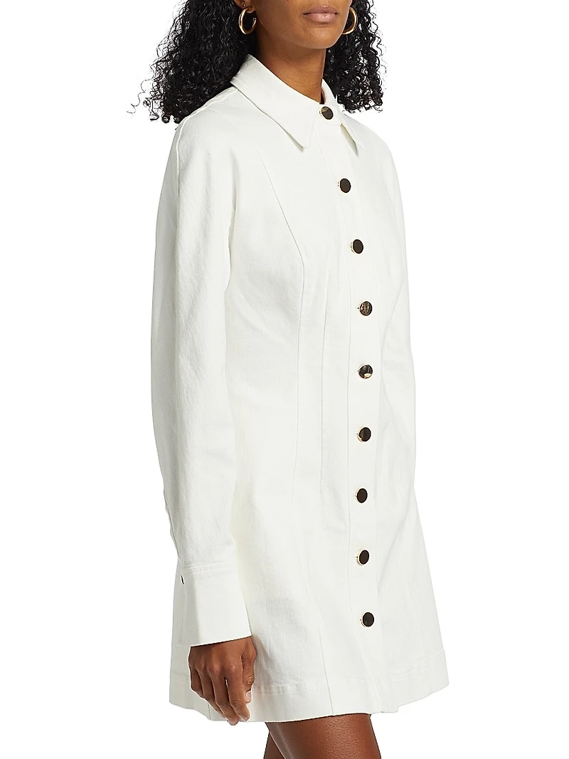 Alexa Denim Seamed Minidress