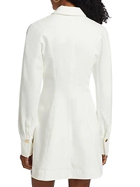 Alexa Denim Seamed Minidress