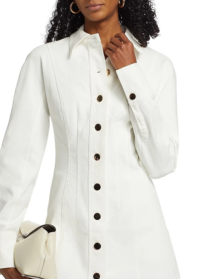 Alexa Denim Seamed Minidress