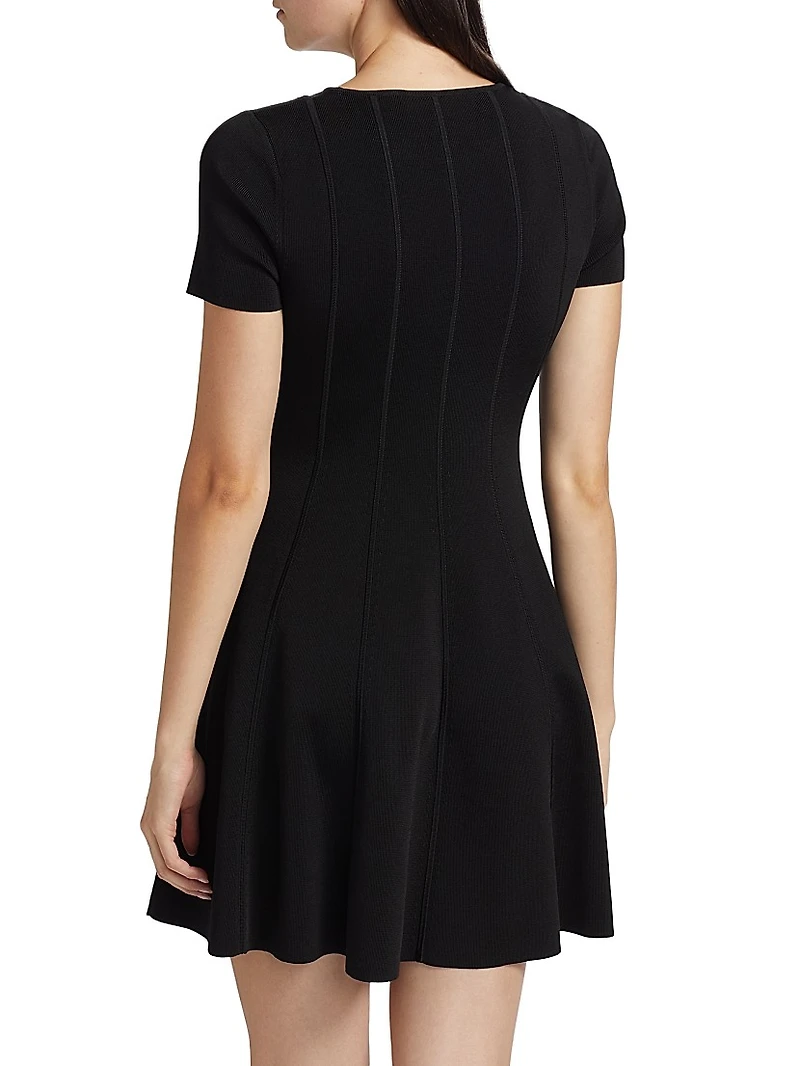 Robbie Knit Fit & Flare Dress