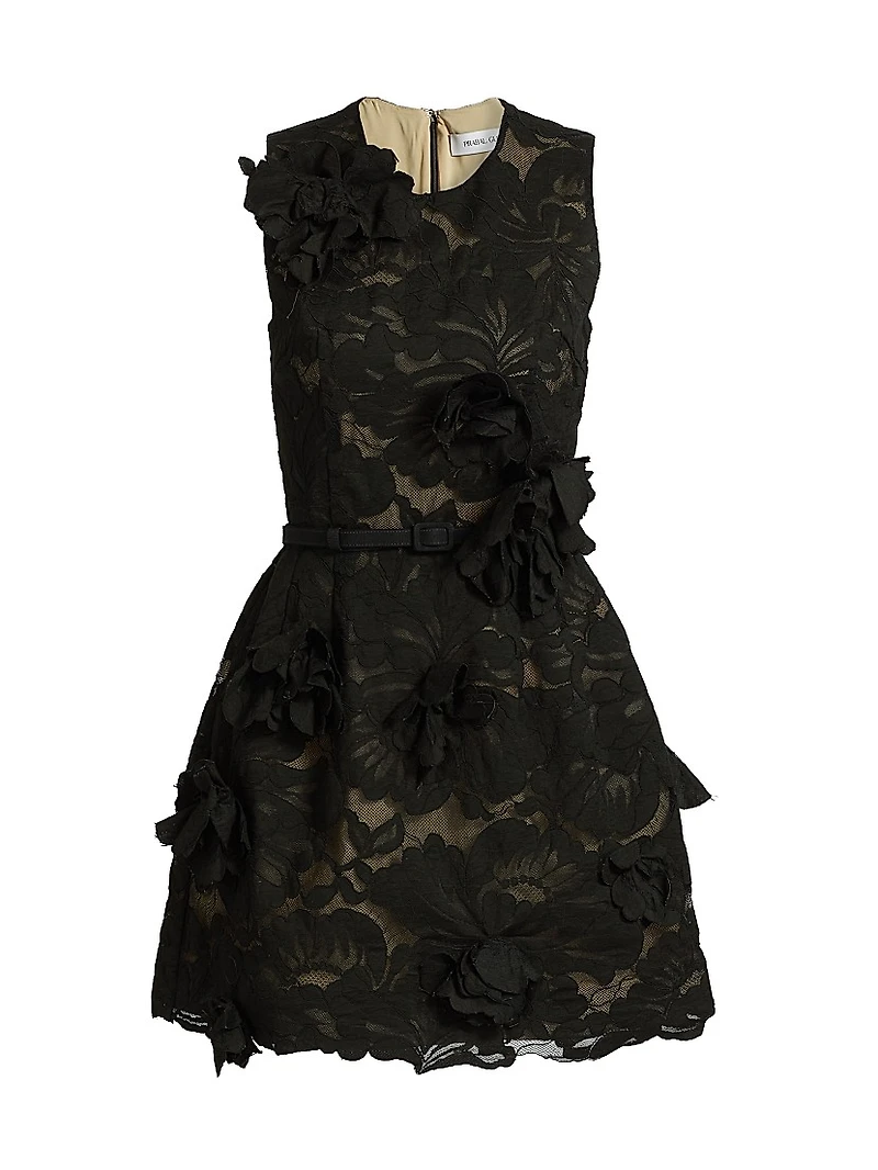 Floral Lace & Appliqué Minidress