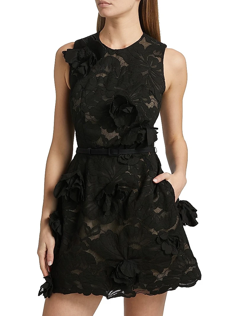 Floral Lace & Appliqué Minidress