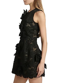 Floral Lace & Appliqué Minidress