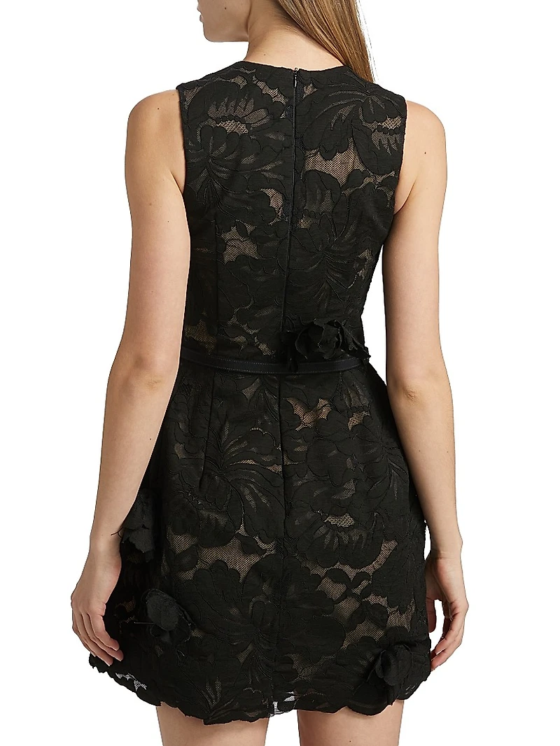 Floral Lace & Appliqué Minidress