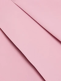 Pleat Front Cropped Pants