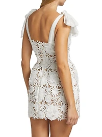 Maia Appliqué Lace Fit & Flare Minidress