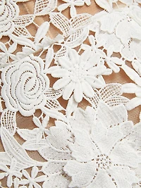 Maia Appliqué Lace Fit & Flare Minidress