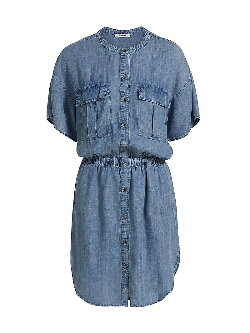 Raquel Denim Button-Front Minidress