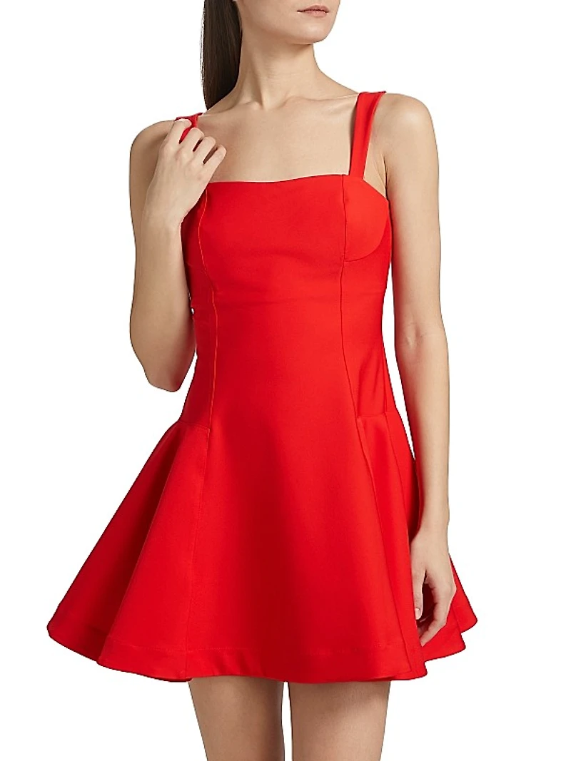Sadie Fit & Flare Minidress