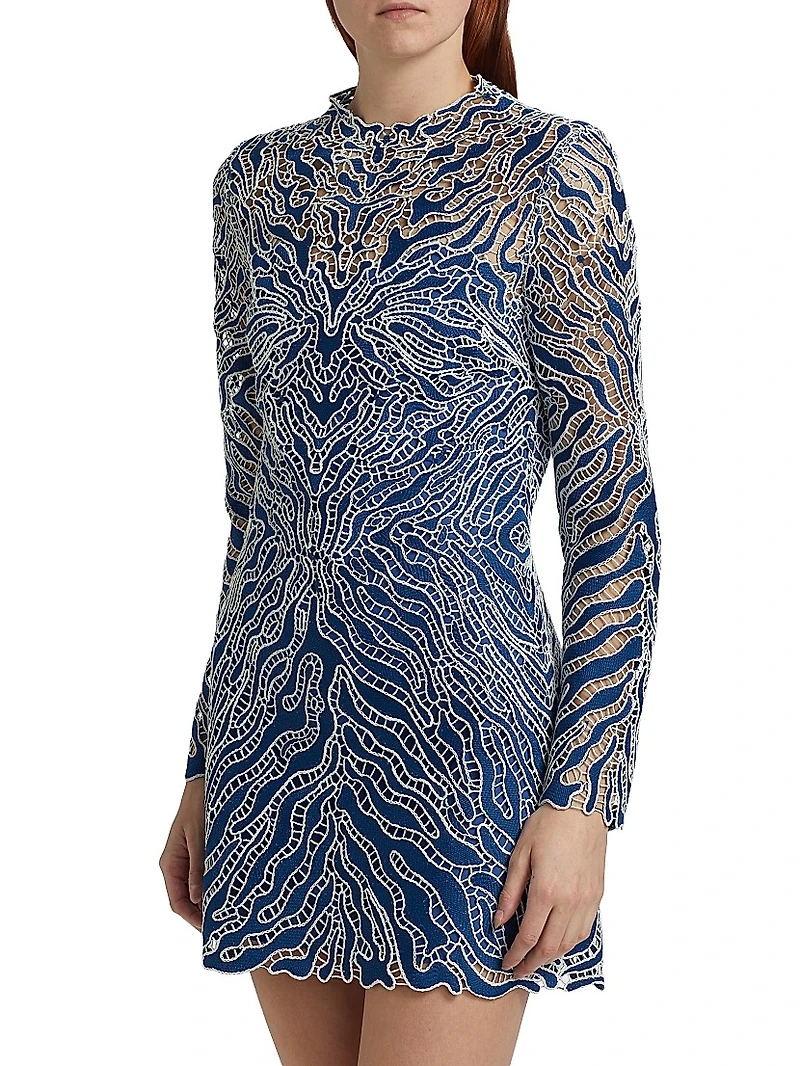 Charis Embellished Minidress