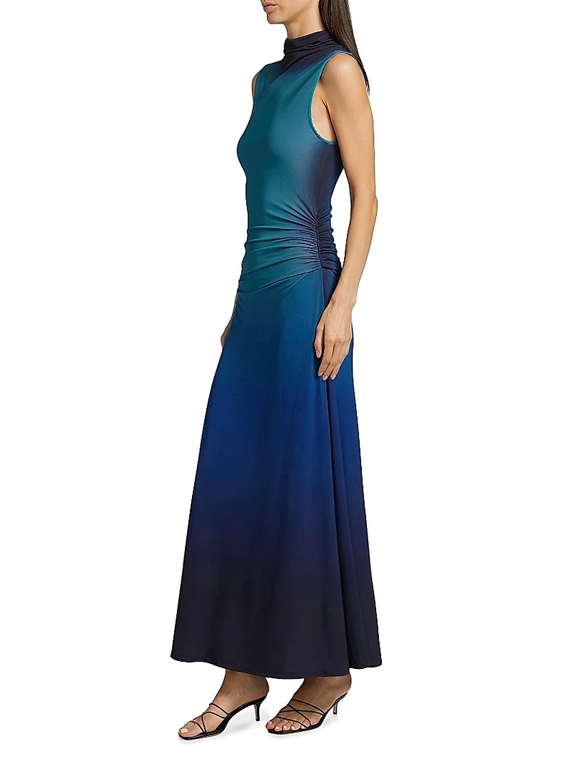 Aldina Ombré Fit & Flare Maxi Dress