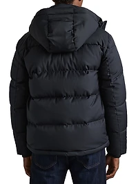 Carston Padded Hooded Zip-Up Jacket