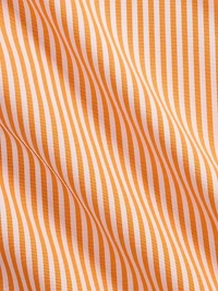 Classic Fit Striped Poplin Shirt