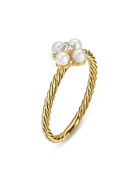 Petite Modern Renaissance Ring 18K Yellow Gold