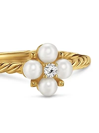 Petite Modern Renaissance Ring 18K Yellow Gold