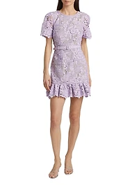 Garden Lace Flounce Minidress