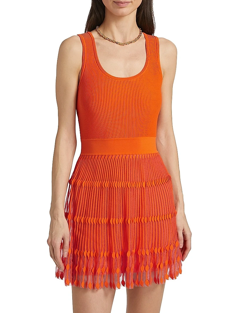 Sheer-Knit Sleeveless Flare Minidress
