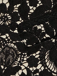 Garden Lace Sheath Minidress