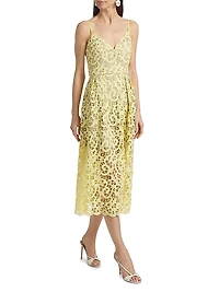 Trois Lace Midi-Dress