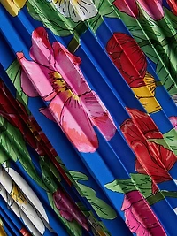 Liora Floral Pleated Tie-Waist Midi Dress