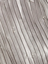 Metallic Pleated Laser-Cut Midi-Skirt