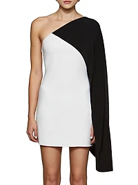 Erica One-Shoulder Colorblocked Dress