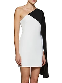 Erica One-Shoulder Colorblocked Dress