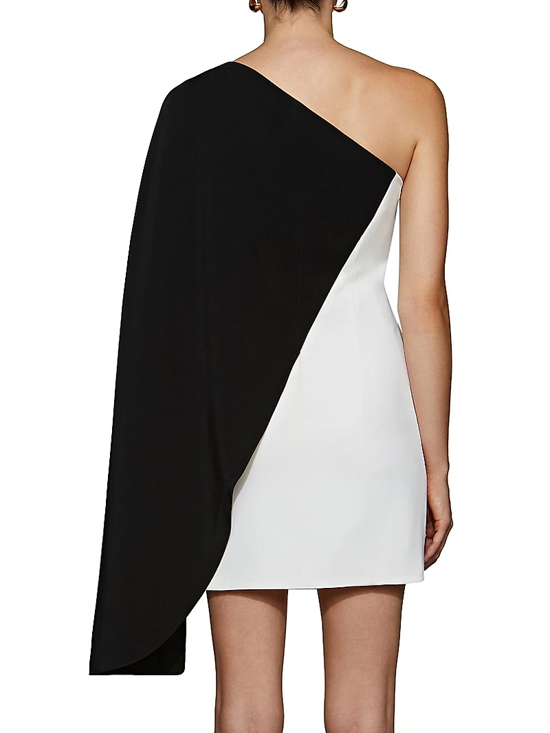 Erica One-Shoulder Colorblocked Dress