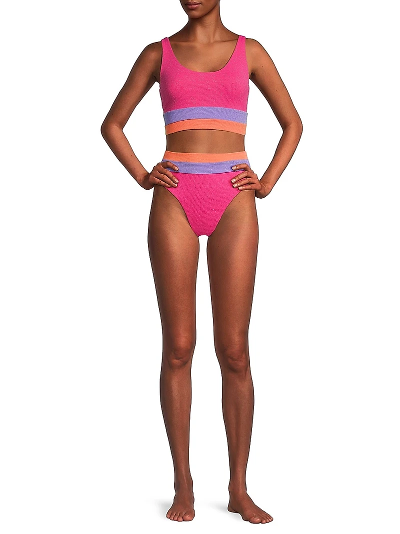 Heidi Metallic Colorblocked Bikini Bottom