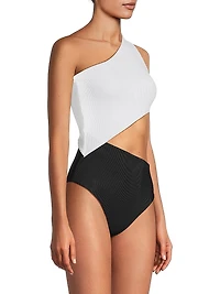 Celine Colorblocked One-Piece Swimsuit
