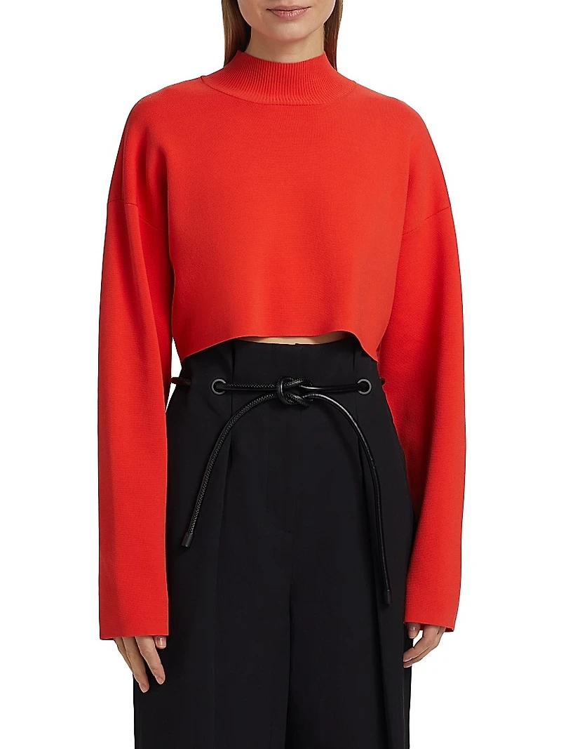 Cropped Turtleneck Sweater