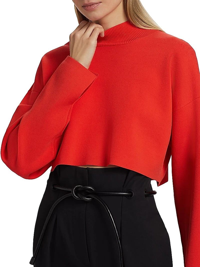 Cropped Turtleneck Sweater